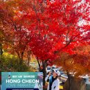 홍천강변_2 | 2025 홍천사랑마라톤대회 10KM 완주후기