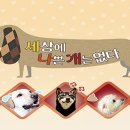 S&J상사 이미지