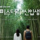 미스터리 이미지