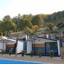 하나 숲 관광농원 이미지