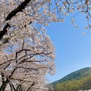 송해공원 제3주차장(2) 이미지