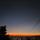 운동쟁이