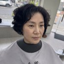 지선헤어라인