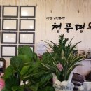 청풍명월생고기