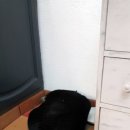 제인홈 이미지