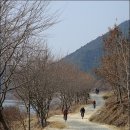 하동 섬진강변길 이미지