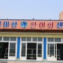제주보고타