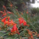 꽃순이농장 이미지