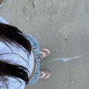 [다이어트] 소우코우 이소비텍신 내돈내산 후기 다이어트 혁명 와사비다이어트 후기