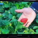 이재숙농장 네이버블로그