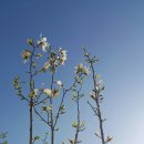 롯데캐슬코너공인중개사사무소 이미지