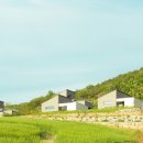 스테이 경화 네이버블로그