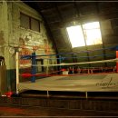 조치원권투체육관 이미지