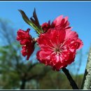 까치울역 2번 출구 이미지