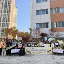 연푸른초 이미지