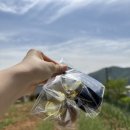 쉼터카서비스 이미지