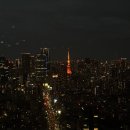 러쉬캣 | 끝판왕?!(OK긴자/라이프마트/칼디/푸드쇼/몽벨/온러닝/돈키호테/로프트/유니클로긴자/러쉬/면세점까지..)