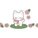 다도 숲으로 민박 이미지