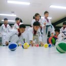 푸른태권도장 이미지