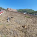 송정동-12 이미지