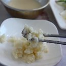 목포산낙지 이미지