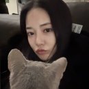 지디스타일