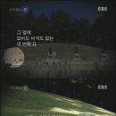 안장의사 이미지