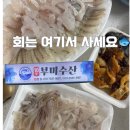 삼척SOS통통센터 | 삼척 활어회센터 어디로 갈지 고민이라면? 현지인 추천 따라오세요.