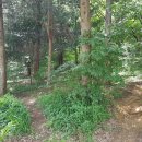 호호캠핑장 이미지