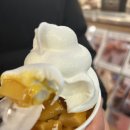 정연돈카츠 네이버블로그