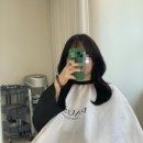 야탑역 미용실 찰떡 추천 커트 후기 야탑 파우제