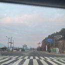 금산-34 | 2026 금산 새해 맞이 마라톤 10km 완주 후기 ( 35분 54초 )