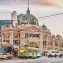 서안농장 | [호주워홀🇦🇺] 호주 워홀 지역을 정해보자 | 시드니, 멜버른, 브리즈번 비교, 차이, 장단점