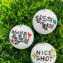 S골프아카데미 이미지