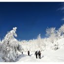 수림주유소 이미지