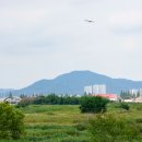 순천-77호 전남일보