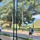 남정오토 | 경주 연말 데이트 코스 추천│<오아르미술관> 건축가 유현준, 대릉원 카페, 황리단길 카페, 경주 미술관