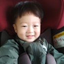 곡성-241 이미지