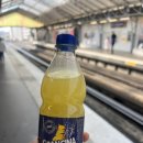 토이핑 | [파리] 토이핑의 파리 신혼여행 이야기 3 | 파리 루이비통 본사 | 파리 오르세 미술관 투어 | 파리 야간...