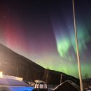 매일 | 트롬쇠 오로라 투어 없이 매일 본 후기 셀프 오로라 헌팅 팁 총정리