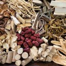 건강 약초 이미지