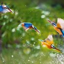 변산고을 이미지