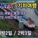 개미여행사