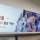 알면 꿀잼 클래식~오페라 vs 뮤지컬 | 뮤덕 50문답!!🤭