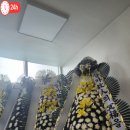 부산전문장례식장 이미지