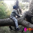 자연을 담다
