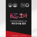 루틴케이