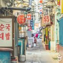 [여행정보] 한국관광공사 추천 2월 걷기여행길, 도심 속 걷기 좋은 길 이미지