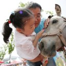 렛츠런파크 제주 이미지