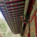 여래2구 | 영은사靈隱寺석조여래좌상石造如來坐像